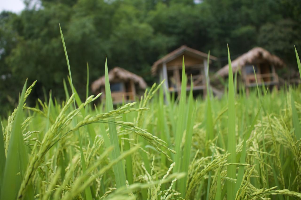 Little Mai Chau Home Stay Eksteriør bilde