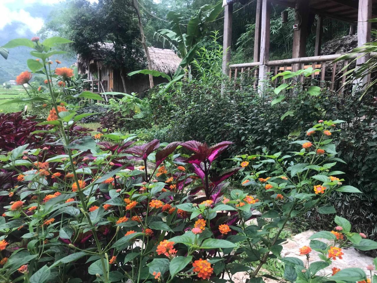 Little Mai Chau Home Stay Eksteriør bilde