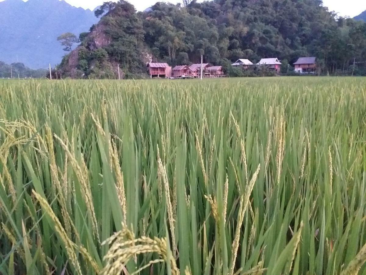 Little Mai Chau Home Stay Eksteriør bilde